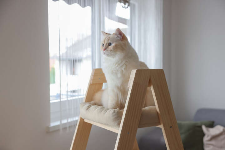 KERBL Kratzbaum Ladder